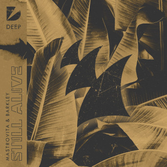Mastrovita & Barkley – Still Alive