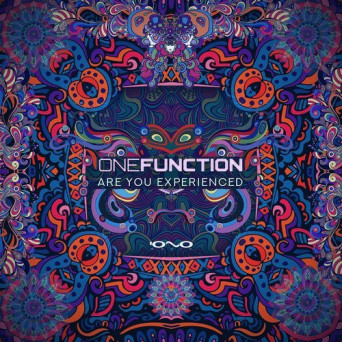 One Function – Are You Experienced