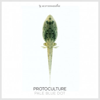 Protoculture – Pale Blue Dot