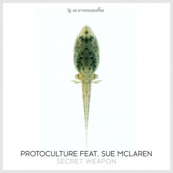 Protoculture feat. Sue McLaren – Secret Weapon