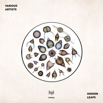 Trampolinmusik: Hidden Leaps