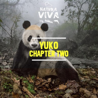 Yuko. – Chapter Two