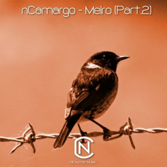 nCamargo – Melro, Pt. 2