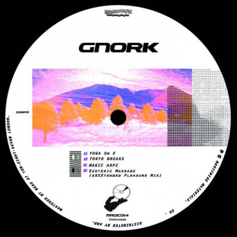 Gnork – Magic Arpz