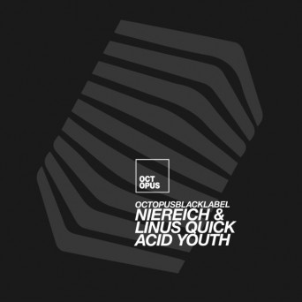 Niereich & Linus Quick – Acid Youth