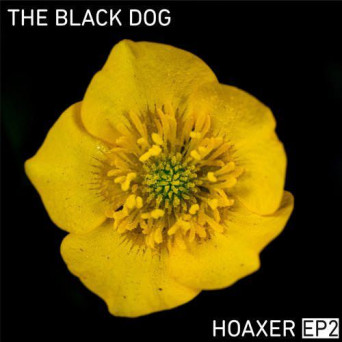 The Black Dog – Hoaxer EP 2