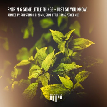 Antrim & Some Little Things – Just so You Know