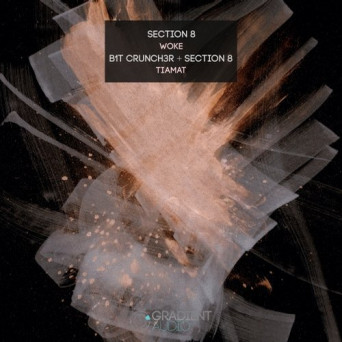 B1t Crunch3r & Section 8 – Woke / Tiamat