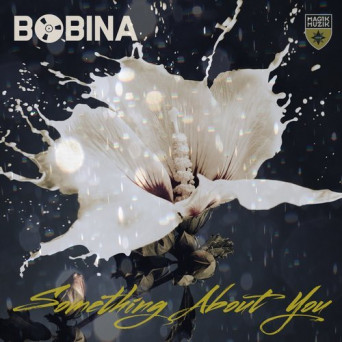 Bobina – Something About You