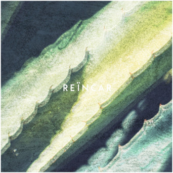 Daniel van der Zwaag – Reïncar