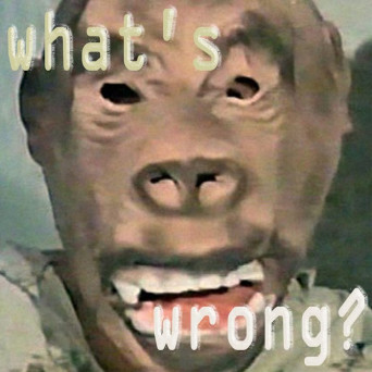 Les Dupont – What’s Wrong