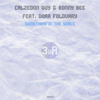 Calzedon Guy, Dora Foldvary & Bonny Bee – Something in the Space