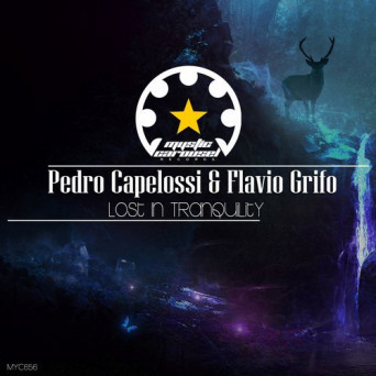 Flavio Grifo, Pedro Capelossi – Lost in Tranquility