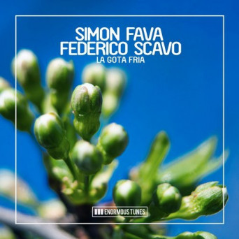 Simon Fava & Federico Scavo – La Gota Fria