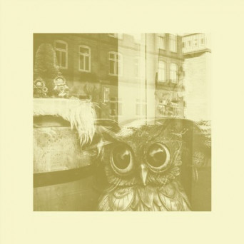 ZK Bucket – All In / All Out