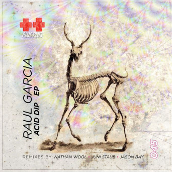 Raul Garcia – Acid Dip EP