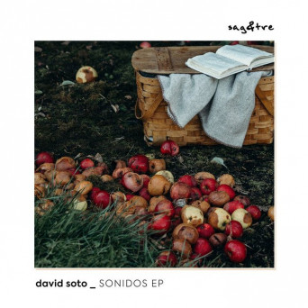 David Soto – Sonidos
