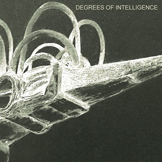 SCB – Degrees of Intelligence
