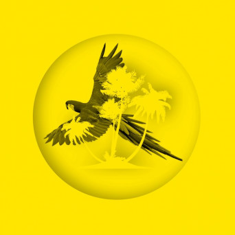 Tropicallia – The Jump