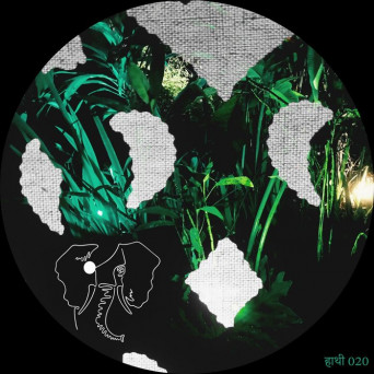 Jack Roy – Mele Mele