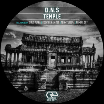 D.N.S – Temple