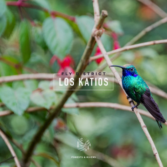 Fly District – Los Katios