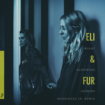 Eli & Fur – Night Blooming Jasmine (Rodriguez Jr. Remix)