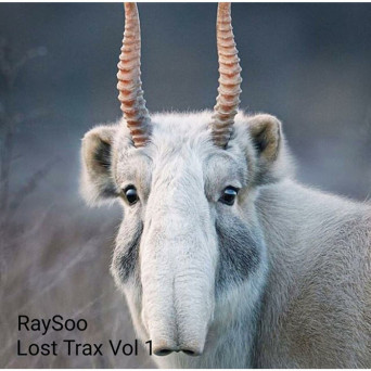 RaySoo – Lost Trax Vol 1