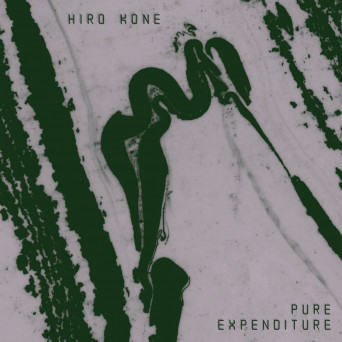 Hiro Kone – Pure Expenditure