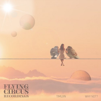 Timujin – Why Not?