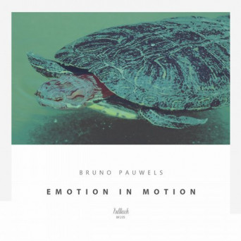 Bruno Pauwels – Emotion in Motion