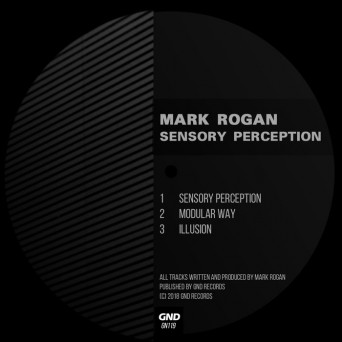 Mark Rogan – Sensory Perception