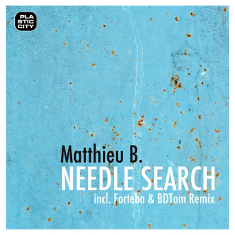 Matthieu B. – Needle Search