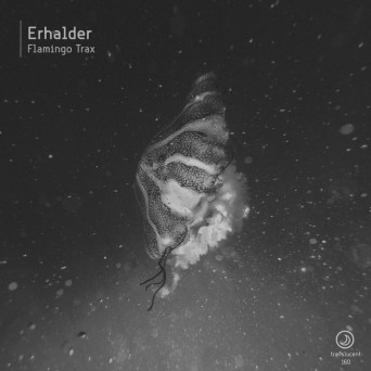 Erhalder – Flamingo Trax