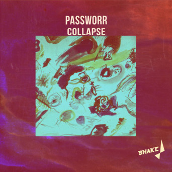 PasswoRR – Collapse