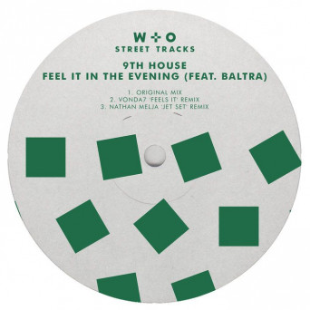 9th House – Feel it In The Evening (feat. Baltra)