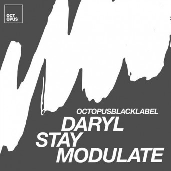 Daryl Stay – Modulate