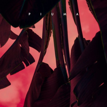 Andrew Case & VieL – Piuma