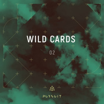 VA – Wild Cards 02