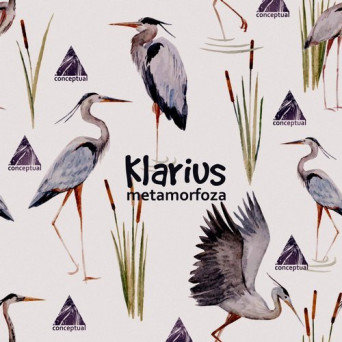 Klarius – Metamorfoza