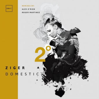 Ziger – Domestic
