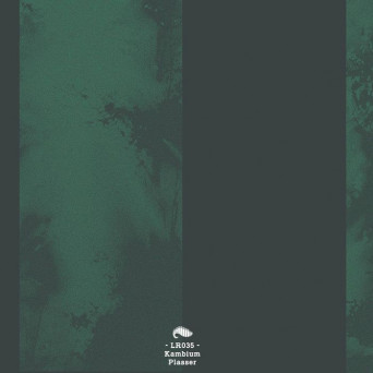 Kambium – Plasser