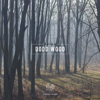 Drigg – Dodd Wood