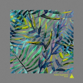 Yutaro Sugawara – Dense
