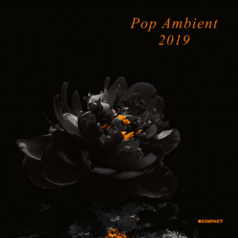 VA – Pop Ambient 2019