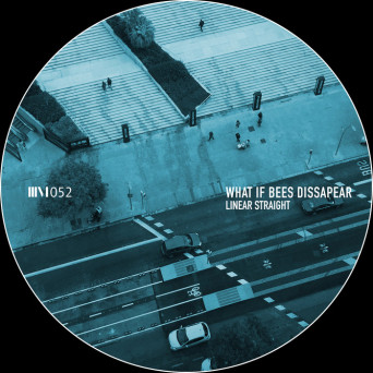 Linear Straight – What If Bees Dissapear