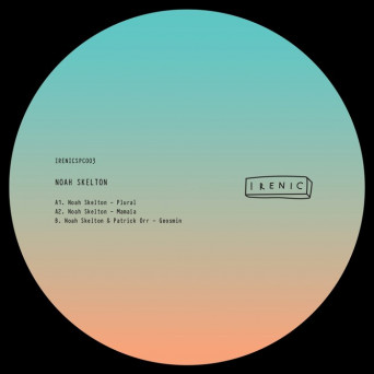 Noah Skelton – IRENICSPC003