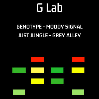 Genotype & Just Jungle – Moody Signal / Grey Alley
