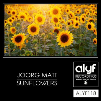 Joorg Matt – Sunflowers