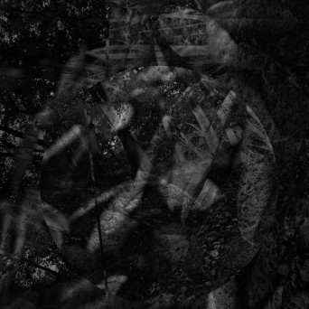 MTRL – Horuset